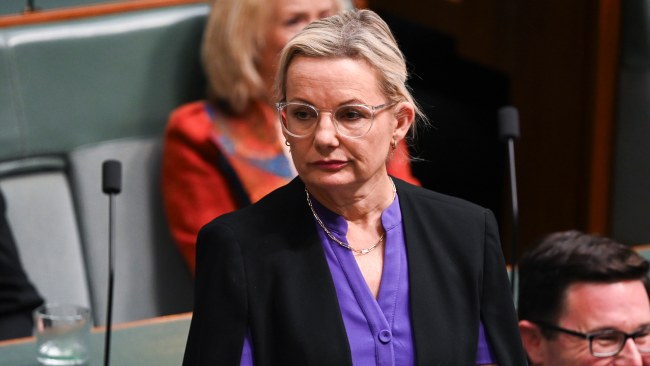 Deputy Opposition Leader Sussan Ley said Ms Plibersek was "proving to be one of the most duplicitous Environment Ministers" in Australian history. Picture: NCA NewsWire / Martin Ollman