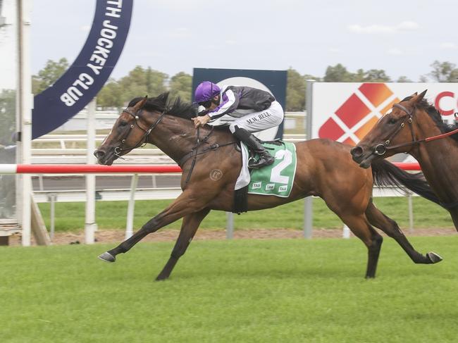 Rathoran winning recently at Tamworth. Photo: Bradley Photos.