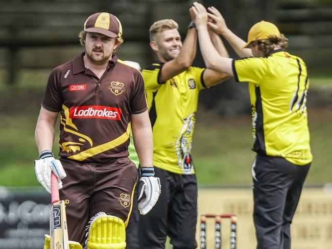 Seaford Tigers players celebrate after taking a Heatherhill wicket on Saturday. Picture: Valeriu Campan