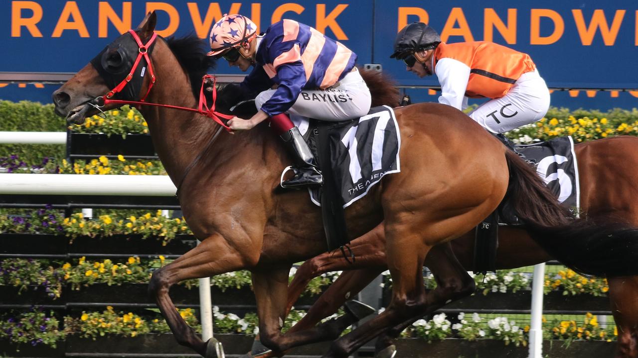 Villiers Stakes winner Brutality has won six races, all on soft or heavy tracks. Picture: Grant Guy