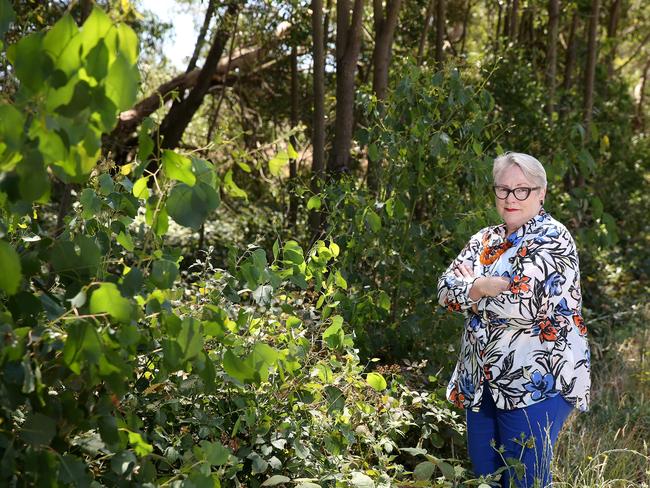 Bev McArthur, Western Victoria MP, says the government is overseeing the demise of the state’s parks. Picture: Andy Rogers