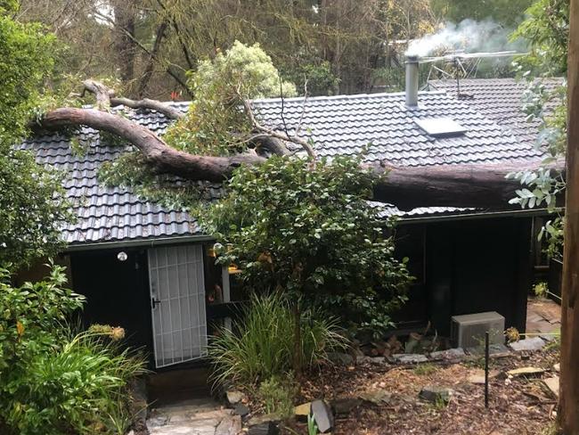 Tree topples on to Hills house as cold, wet spell to hit