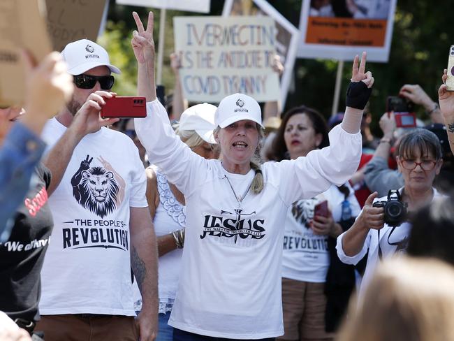 Protesters at the Freedom Rally. Picture: NCA NewsWire / Josh Woning