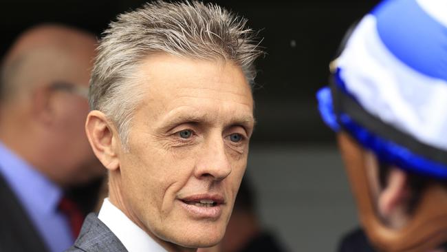 Mark Newnham has Aramis primed to peak third-up at Gosford on Thursday. Picture: Getty Images