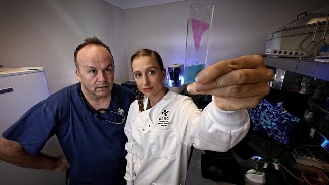 Professor John Fraser and Associate Professor Kirsty Short with a specimen of lung from a long-dead Spanish flu victim. Picture: Lyndon Mechielsen