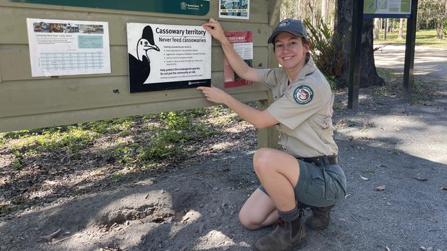 A Queensland Parks and Wildlife Service wildlife officer from Department of Environment, Science and Innovation (DESI) at Murray Falls in the Girramay National Park in North Queensland. Picture: Supplied