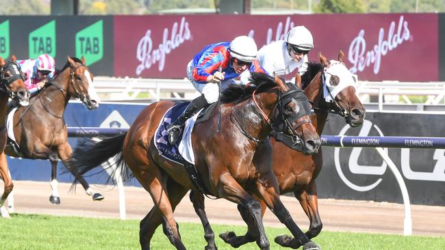 Last-star winner Bel Air will enjoy a significant weight drop in his chase for back-to-back Flemington successes on Saturday. Picture: Racing Photos via Getty Images.