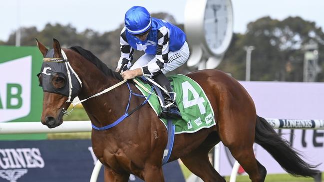 Hit The Rim will appreciate a drop in grade when he returns to his home track on Sunday. Picture: Bradley Photos