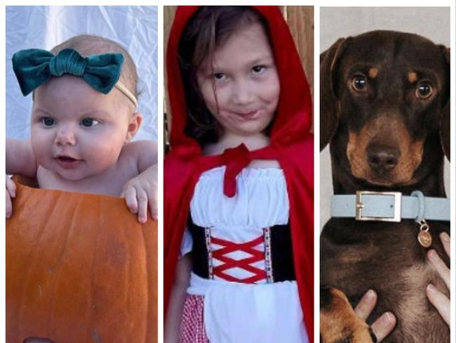 Burnett’s cutest dog, baby and book costume winners