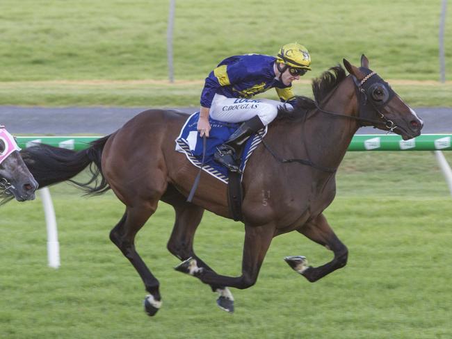 Declarationofheart wins the Group 3 Chairman’s Stakes at Morphettville Picture: Akins Photography