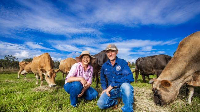 Kay and Dave Tommerup at Tommerup’s Dairy Farm at Kerry in the Scenic Rim. Picture: Nigel Hallett