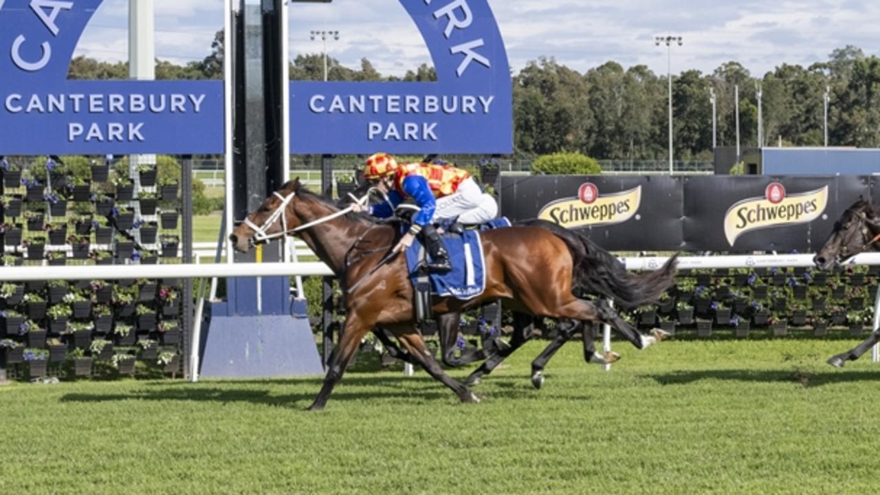 $51 roughie stuns $1.4m stablemate at Canterbury