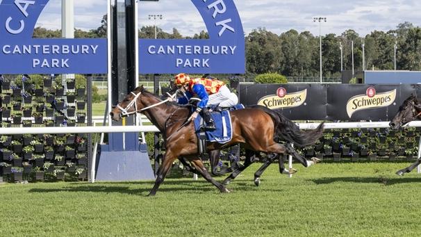 Autumn Boy denies stablemate Central Coast (inside, obscured) in the opening race at Canterbury on Monday. Picture: Bradley Photos