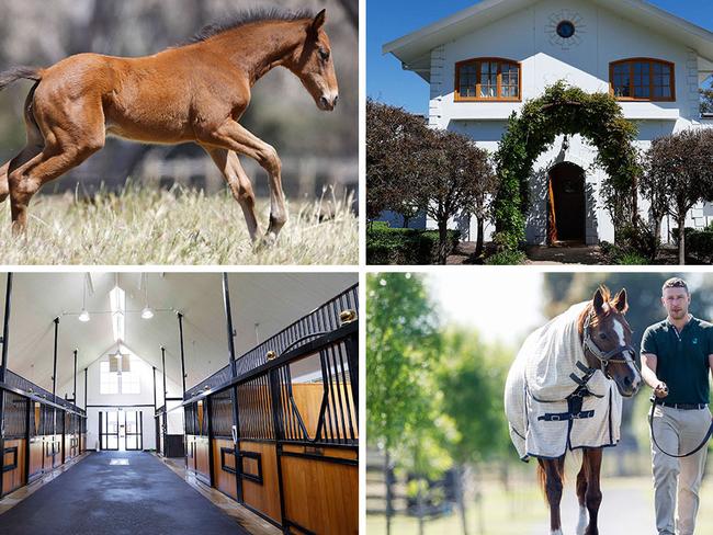 Horse heaven ... Yulong Stud at Nagambie. Pictures: Michael Klein