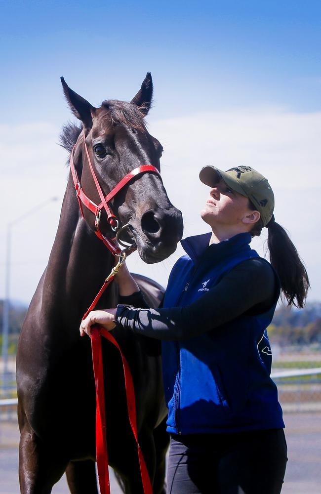 Tasmanian racehorse Mystic Journey with strapper Bronte Page. Picture: PATRICK GEE