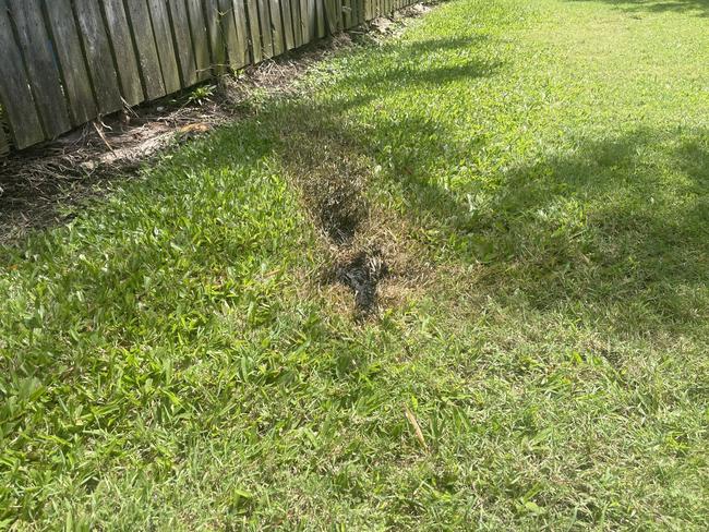 Scorch marks from another sparkler bomb that went off in the alleyway behind a Hervey Bay woman’s home around the same time her car was torched.