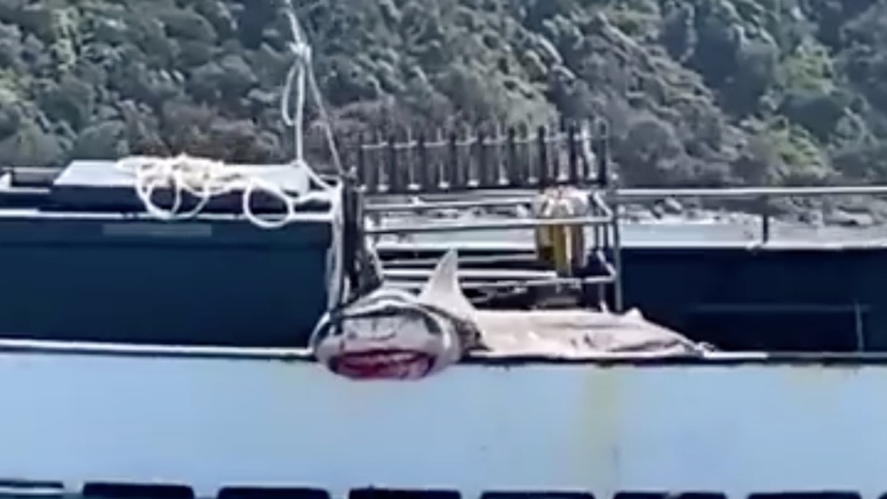 It’s unclear from the footage whether the contractor needs a bigger boat. Picture: Facebook