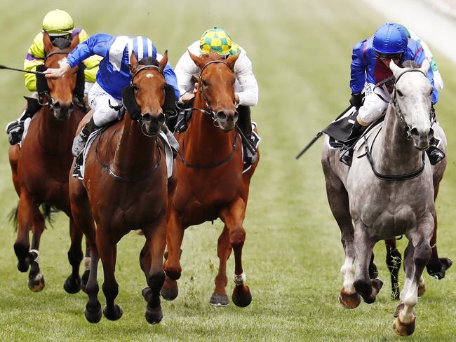 2017 Melbourne Cup at Flemington racecourse. Race 6. The Lexus Hybrid Stakes.  Our Crown Mistress ridden by Stephen Baster (grey horse) fights out the finish with Luqyaa ridden by Blake Shinn (blue and white stripped cap) to win race 6. Pic: Michael Klein