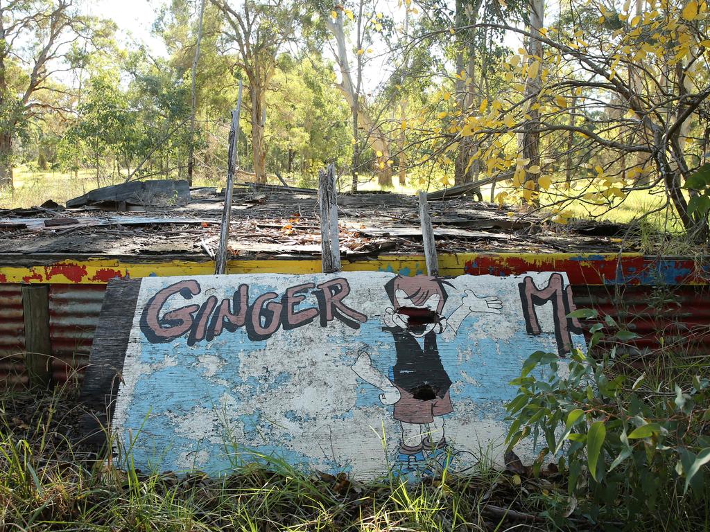 Pictured is the remains of what was Magic Kingdom theme park in Lansvale in Sydneys west. It operated in the 1970s and 80's but has been abandoned since the mid 90's. Picture: Richard Dobson