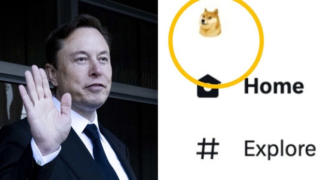 Dogecoin dog replaces Twitter logo on homepage, meme token’s price soars 30 per cent.