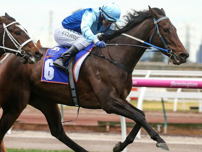Lovani ridden by Luke Currie wins at Flemington Racecourse. Picture: Pat Scala/Racing Photos via Getty Images