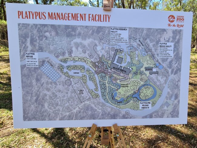 Plans for the Platypus Conservation Centre at Dubbo. Picture: Dugald Saunders MP