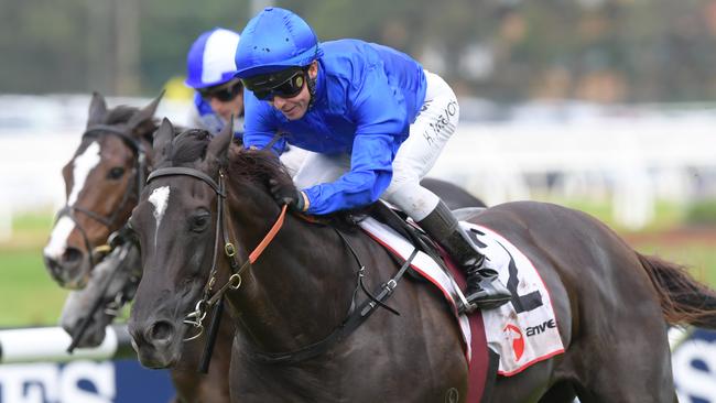 Avilius will be aiming for a higher finish in this year’s Cox Plate. Picture: AAP