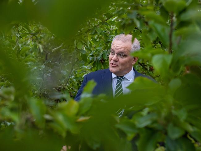 Scott Morrison wants Ausie voters to give him another chance. Picture: Jason Edwards