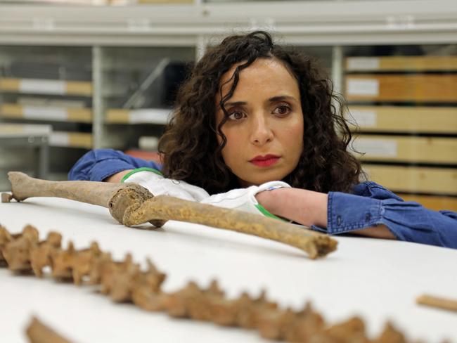 Ella Al-Shamahi, star of National Geographic's Viking Warrior Women, at the Swedish History Museum, Stockholm, examining Viking bones. (National Geographic/Eloisa Noble)