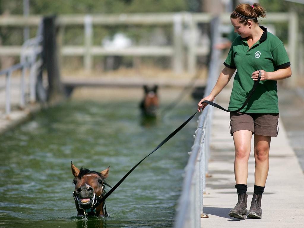 Lizzie Jelfs with Husson Lightning at the Gold Coast in 2007. Picture: Peter Wallis