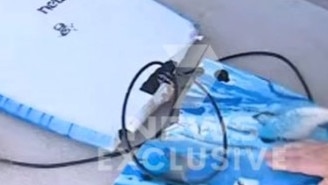 A 44-year-old man was bitten by a shark at Lighthouse Beach near Port Macquarie in NSW on August 25, 2023. Picture: 7News