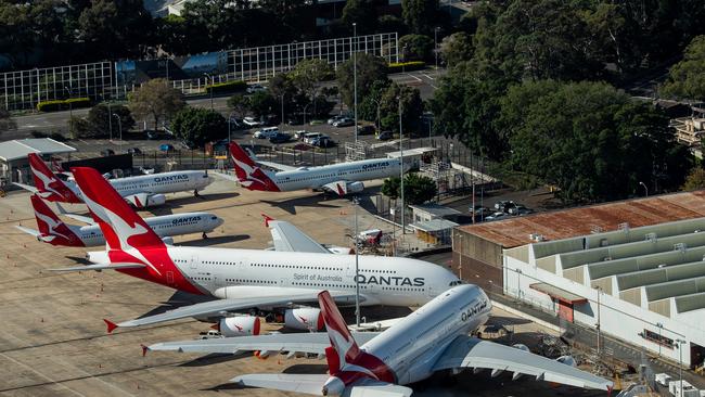 Qantas also announced it will ramp up domestic flights for June and July. Photo by Cameron Spencer/Getty Images