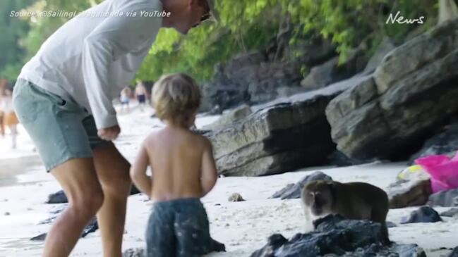 Aussie dad and son attacked by monkeys in Thailand