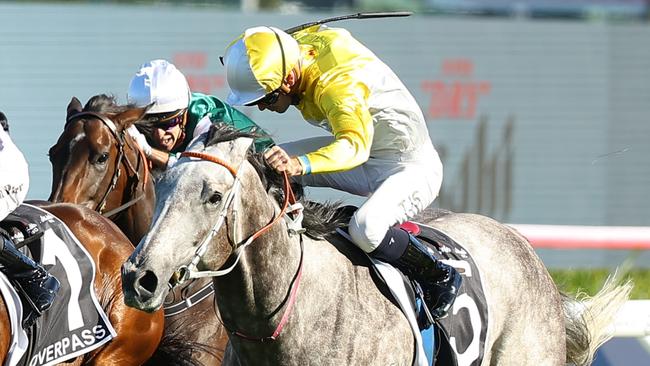 Briasa is confirmed for The Everest in October. Picture: Jeremy Ng/Getty Images