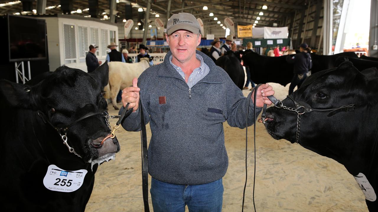 Anton Volker and the Reserve Champion and Supreme Champion Angus bulls at the Royal Melbourne Show. Picture: Yuri Kouzmin