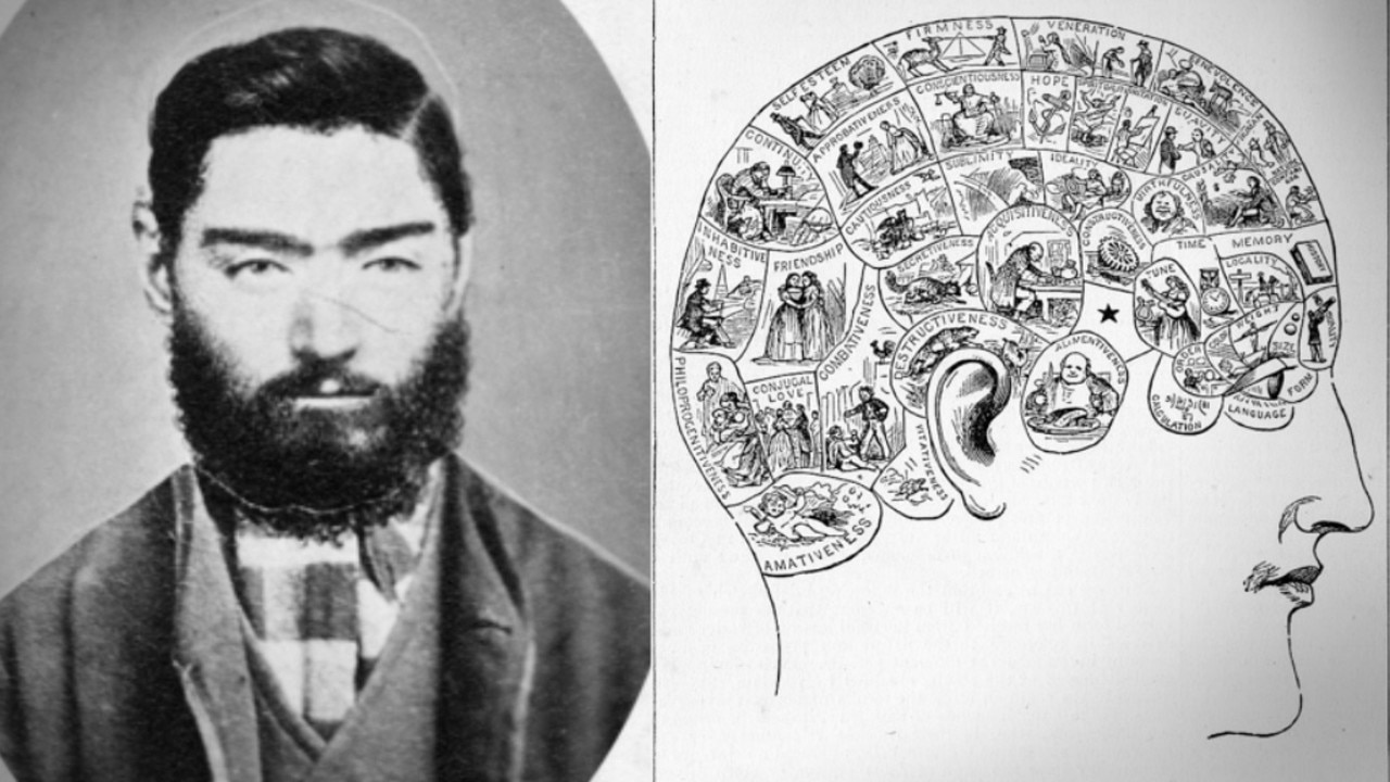 Inside phrenology: the quack science they used to psychoanalyse Ned ...