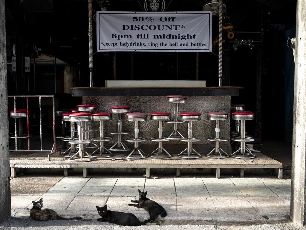 A cat family at a closed bar in Patong Beach. Picture: Sirachai Arunrugstichai/Getty Images