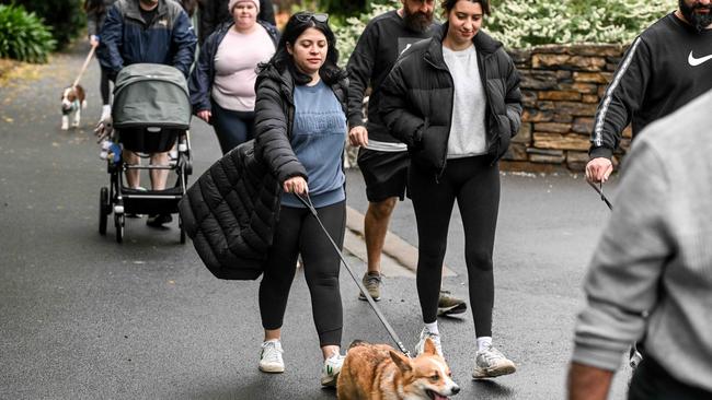 Million Paws Walk at Adelaide Botanic Gardens. Picture: Brenton Edwards