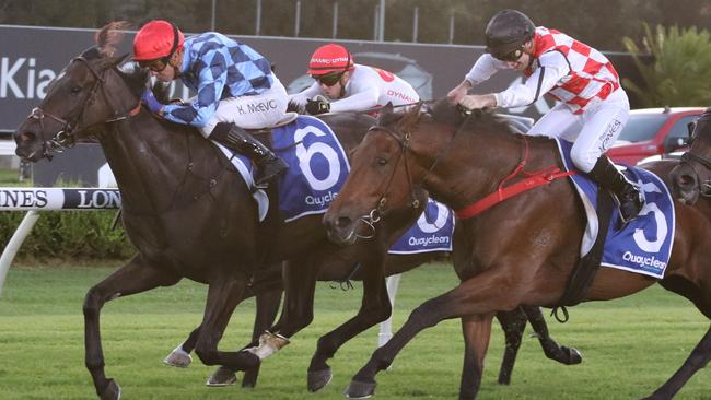Awesome John (right) looks a good chance in race 3, the Tulloch Stakes. Picture: Grant Guy