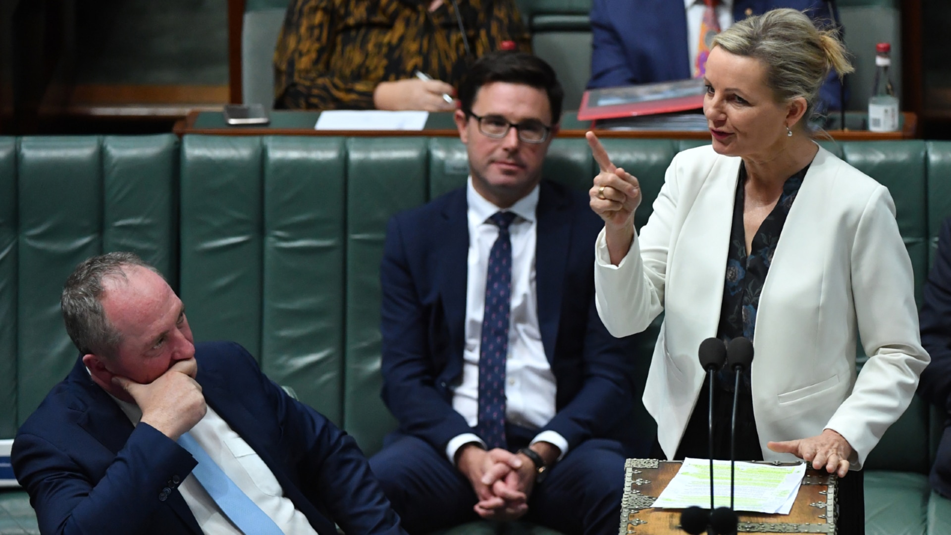 Sussan Ley as Opposition leader will not be a ‘turning point’ for female voters