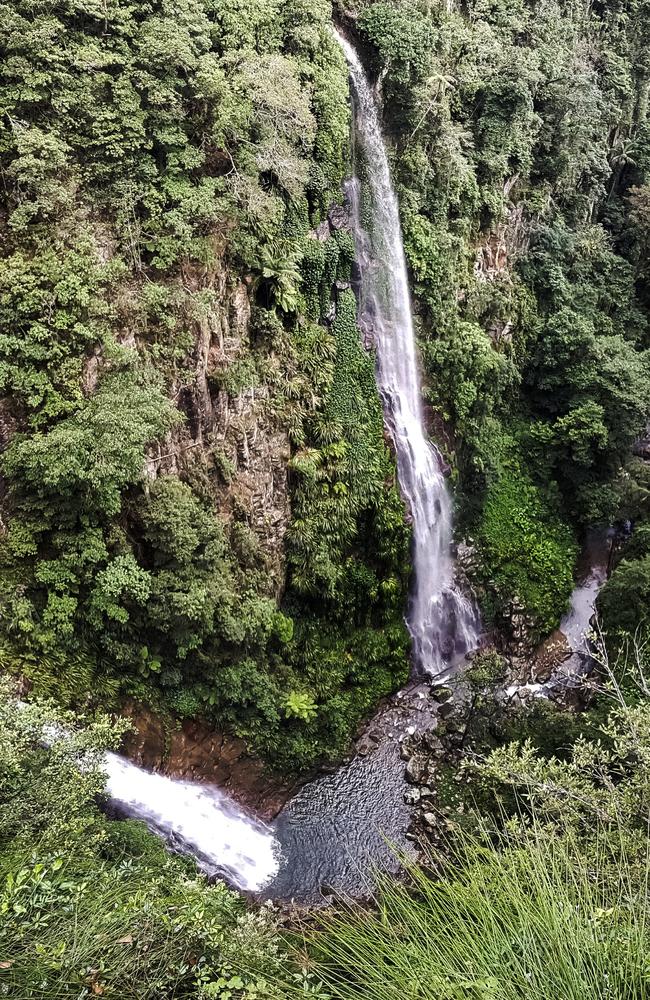 Waterfalls on the Coomera Circuit, Binna Burra.