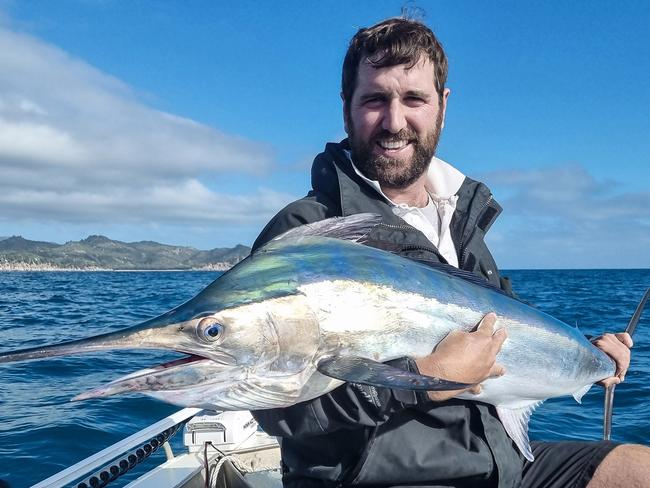 Small black marlin like this one caught and released by Andrew Lilley are exciting the regions game fishers