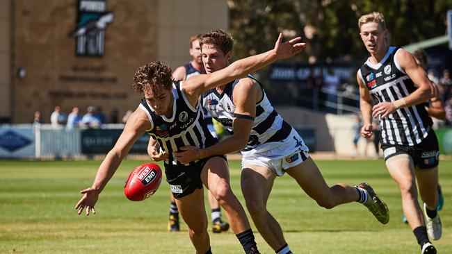 Port's Boyd Woodcock and South's Matthew Rose in the SANFL match between Port Adelaide and South Adelaide at Alberton Oval in April. Picture: Matt Loxton