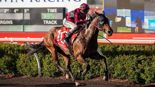 Jockey Jason Lyon wins the $70,000 Ladbrokes Darwin Guineas aboard the Mark Nyhan trained three-year-old Trident. Picture: Caroline Camilleri