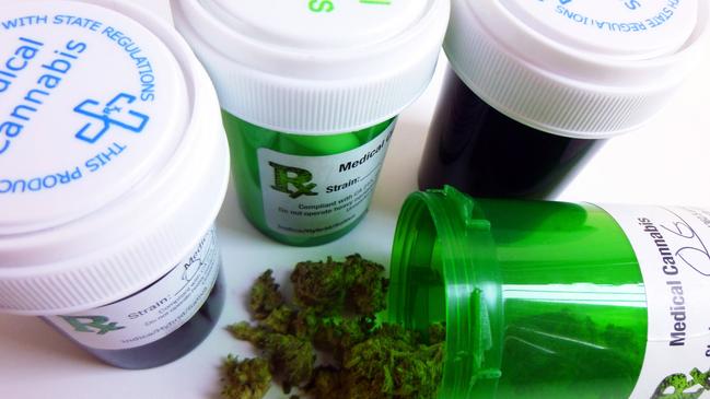 Cann Group is Australia’s largest producer and seller of medicinal cannabis. Photo: File image, istock