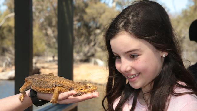 Junior Rangers at Serendip Sactuary, including Charlotte Le Fauchur, meet a bearded dragon. Picture: Alison Wynd