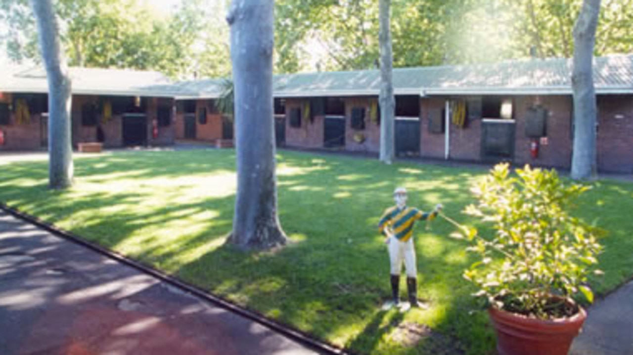 Anthony Cummings’ Leilani Lodge stables at Randwick.