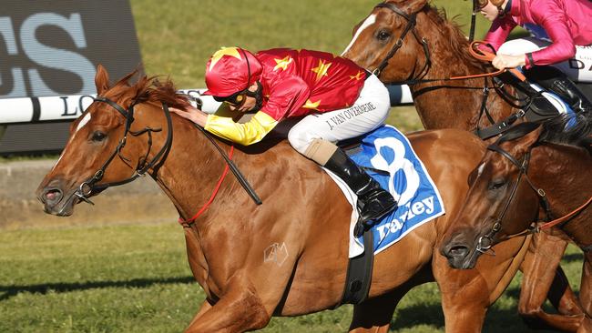 Prime Star will trial at Randwick on Thursday. Picture: Getty Images