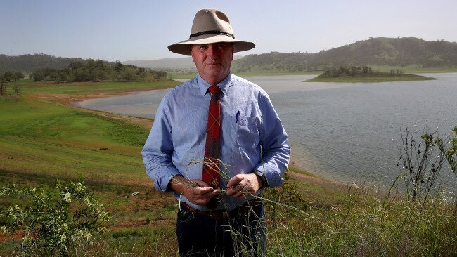 Deputy Prime Minister Barnaby Joyce has said he is open to offering migrant workers on a new agriculture visa a pathway to Australian citizenship. Picture: Toby Zerna