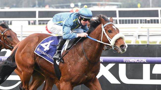 Aldolfito winning on debut for jockey Damian Lane. Picture: Brett Holburt/Racing Photos via Getty Images